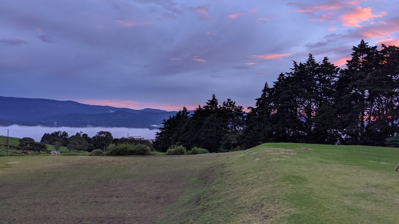 Atardecer rosa y morado con cipreses silueteados y niebla baja en el valle