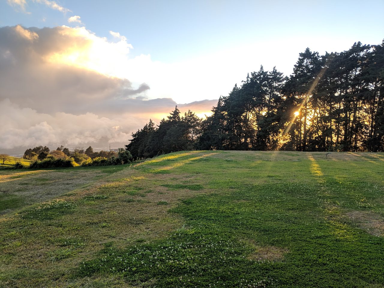 Hora dorada con sun-flare entre cipreses sobre campo verde